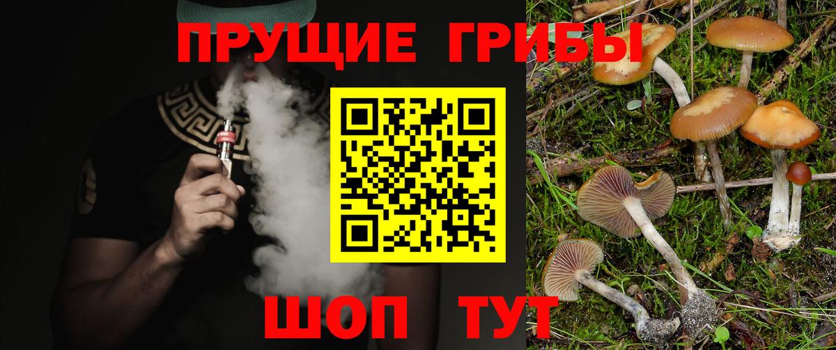 Галлюциногенные грибы прущие грибы  Псилоцибиновые грибы MAGIC MUSHROOMS  Вход с VPN  Боровичи 