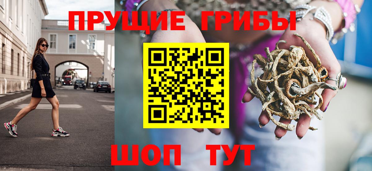 Галлюциногенные грибы Psilocybine cubensis Боровичи